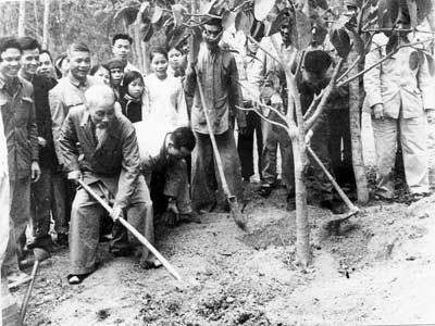 Ngày 16/2/1969 (mồng 1 Tết), Bác Hồ trồng cây ở xã Vật Lại, huyện Ba Vì, tỉnh Hà Tây (nay là Hà Nội) nhân Tết Kỷ Dậu